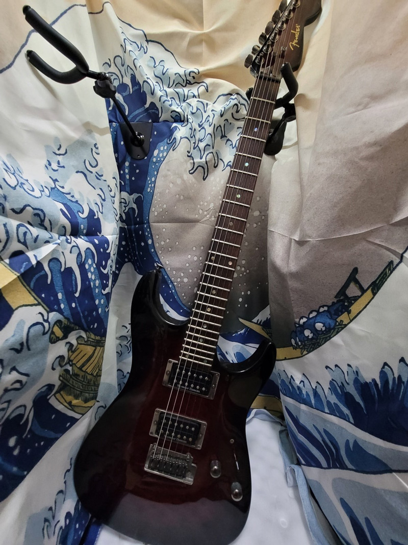 ART-288 吉他專用防潮櫃，保護 2005年出廠的 Fender Showmaster