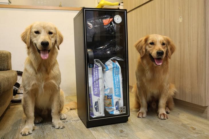 dogs and drybox