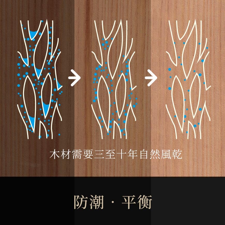 ART-126 中小提琴專用防潮箱，通過實踐大學音樂系實測，最適合保存中小提琴免受潮害。