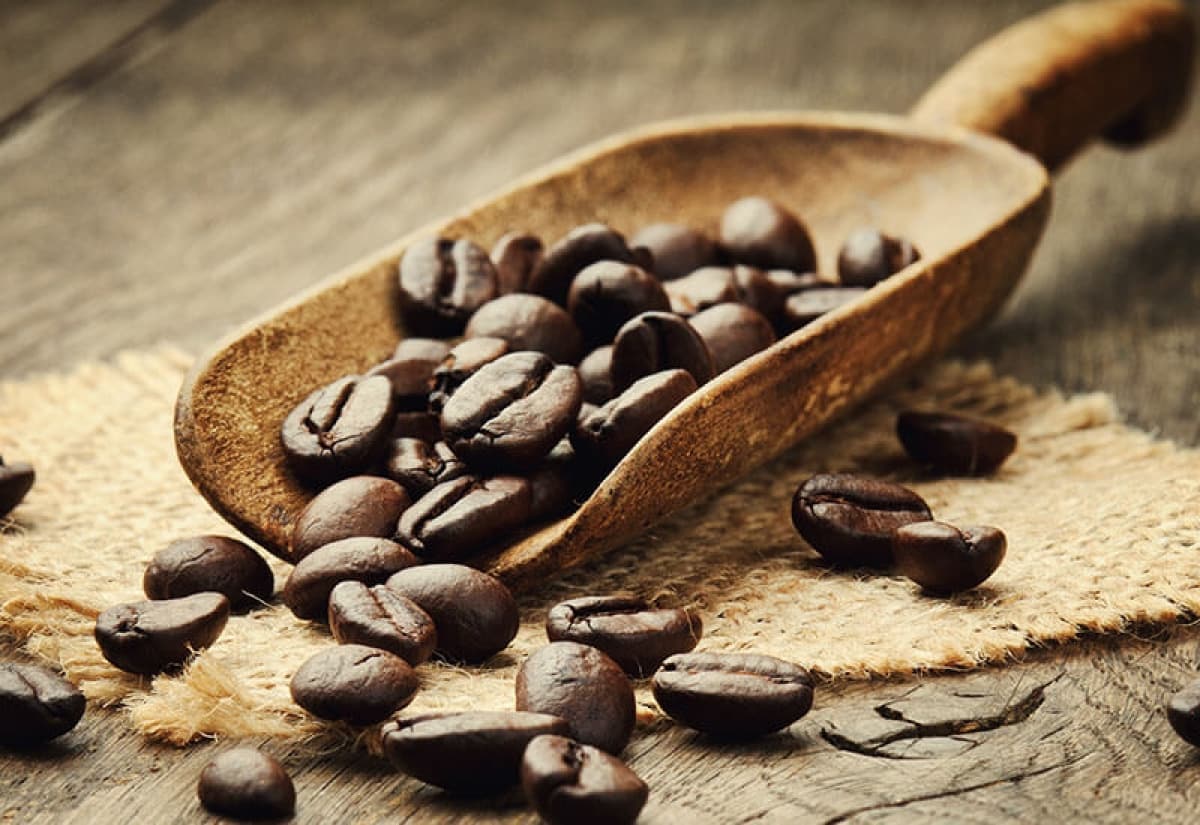 您喝過有花果香、新鮮、健康的防潮咖啡了嗎？