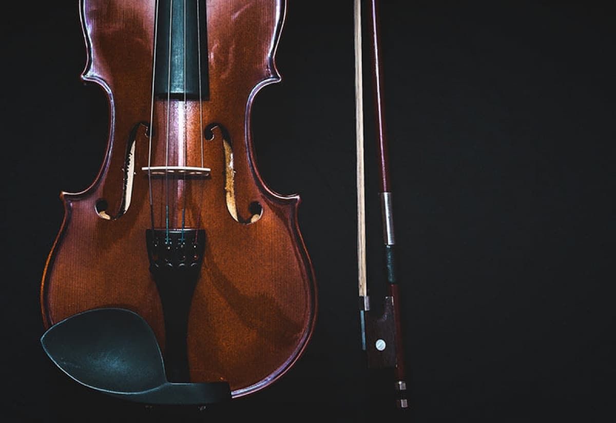 如何保護收藏珍貴的小提琴與其它樂器